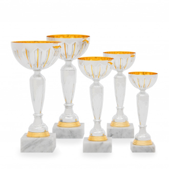 Pohár EKONOM, výška 21 cm, stříbrný/zlatý