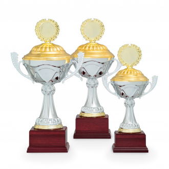 Pohár EKONOM, výška 34 cm, stříbrný/zlatý